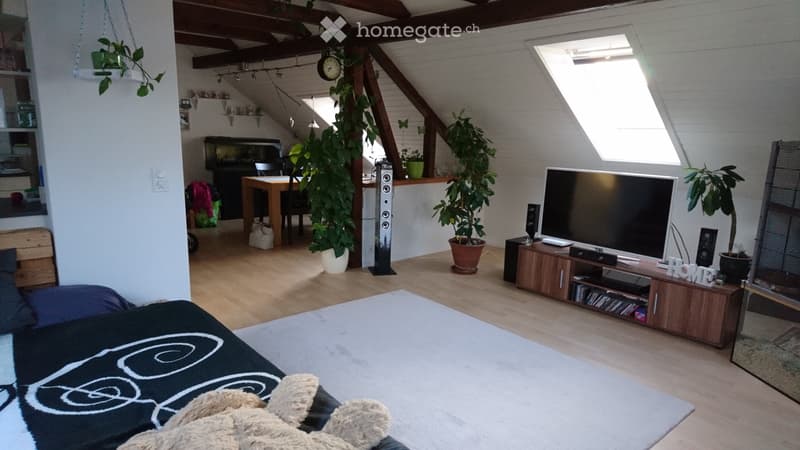 charmante, aussergewöhnliche Dachwohnung (3)