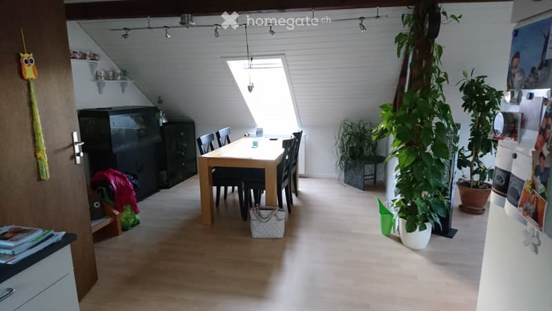 charmante, aussergewöhnliche Dachwohnung (5)