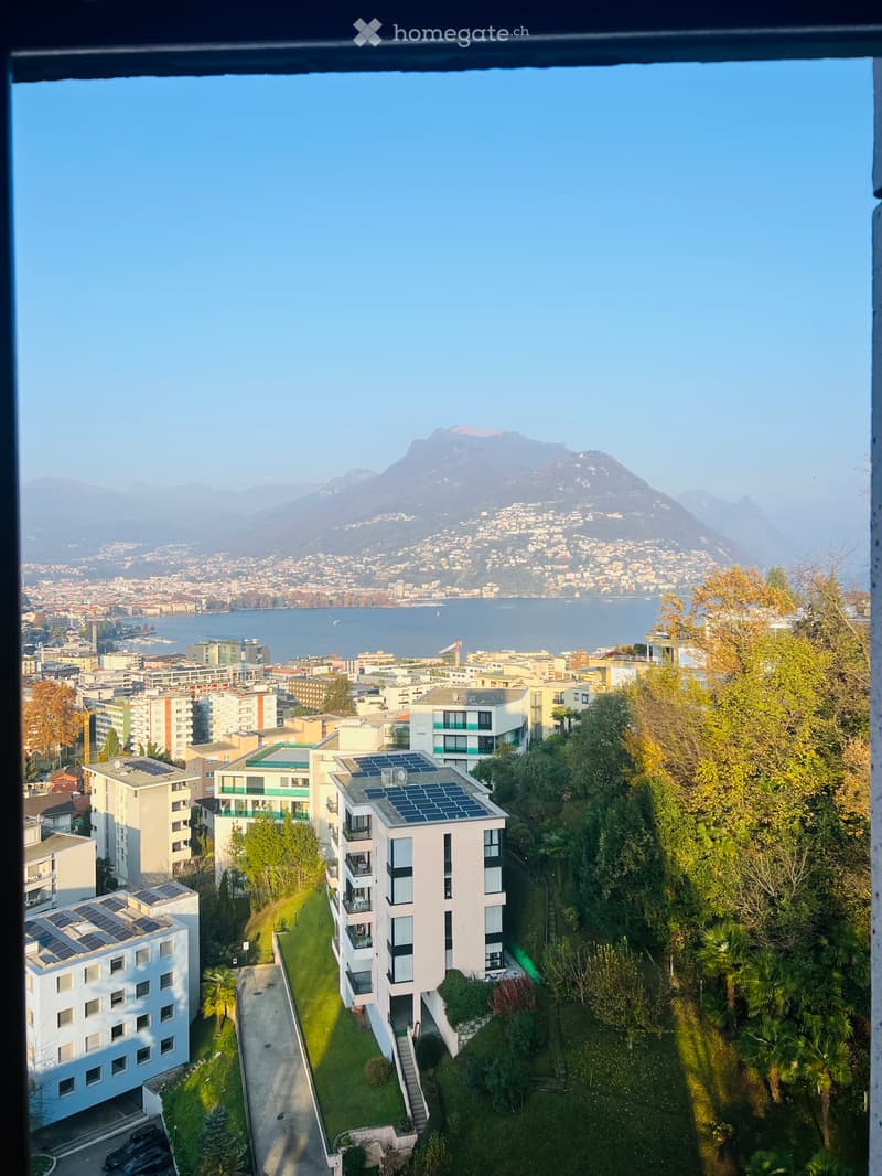 Vendesi Appartamento 3,5 locali anche ammobiliato (1)