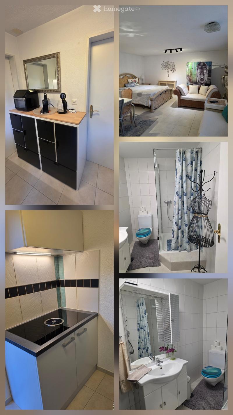 1ZIMMER möblierte 35m2 Wohnung (3)