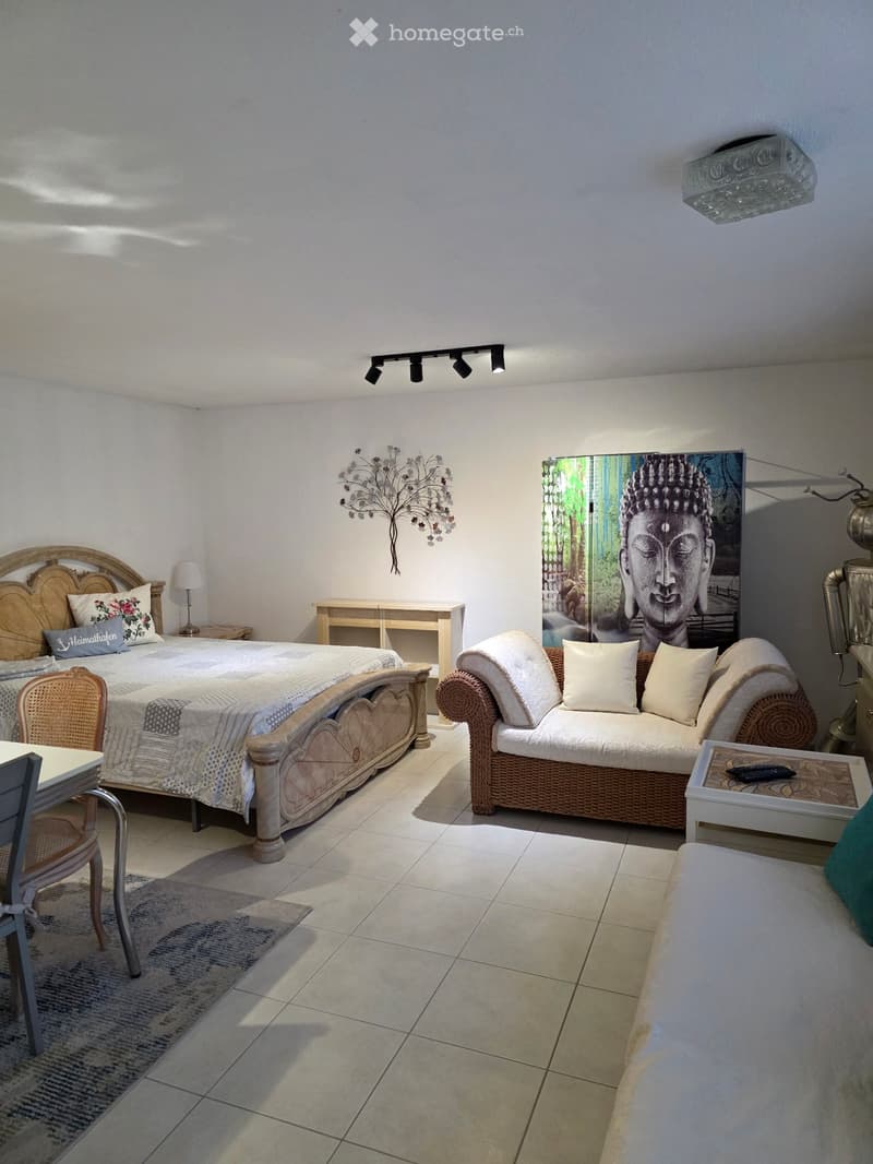 1ZIMMER möblierte 35m2 Wohnung (1)
