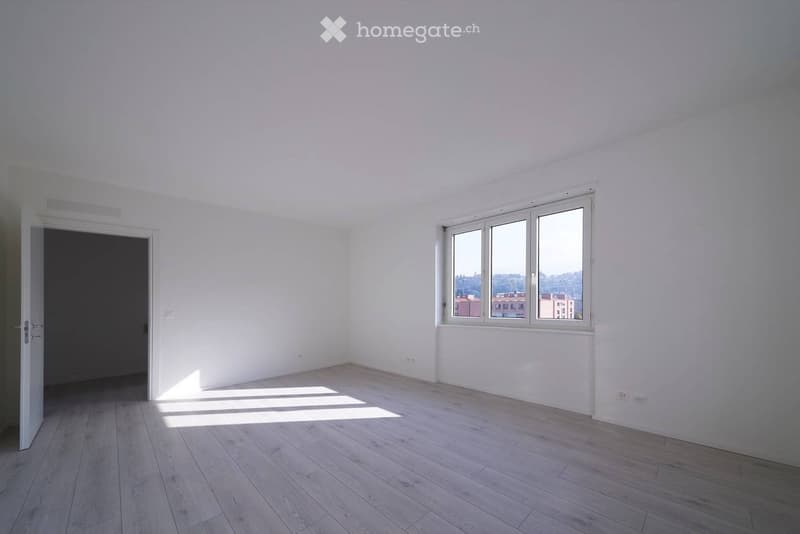 Ristrutturato, ampio e luminoso in centro a Chiasso (4)