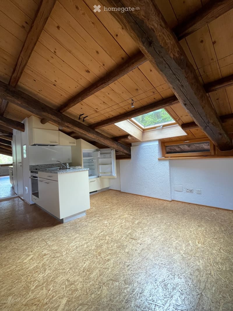 AFFITTO Grande locale mansardato - studiò (Open Space) (2)