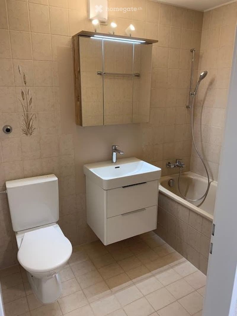 Charmante 3.5 Zimmer WHG mit super Aussicht (5)