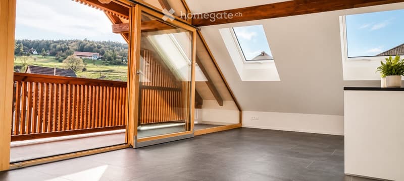 Dachwohnung mit Aussicht in Seewen (1)