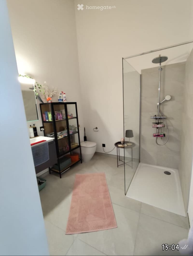 Splendido 2.5 Locali Open Space e Spettacolare Vista Lago (1)
