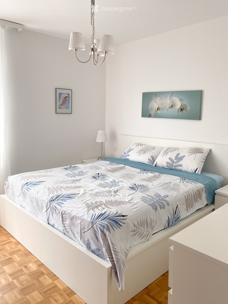 affittasi luminoso 2.5 a Pregassona Alta - una piccola oasi (4)