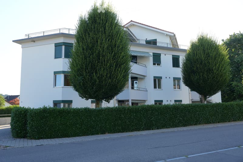 Ruhige 5.5-Zimmerwohnung in Gränichen, viel Grün und Komfort (1)