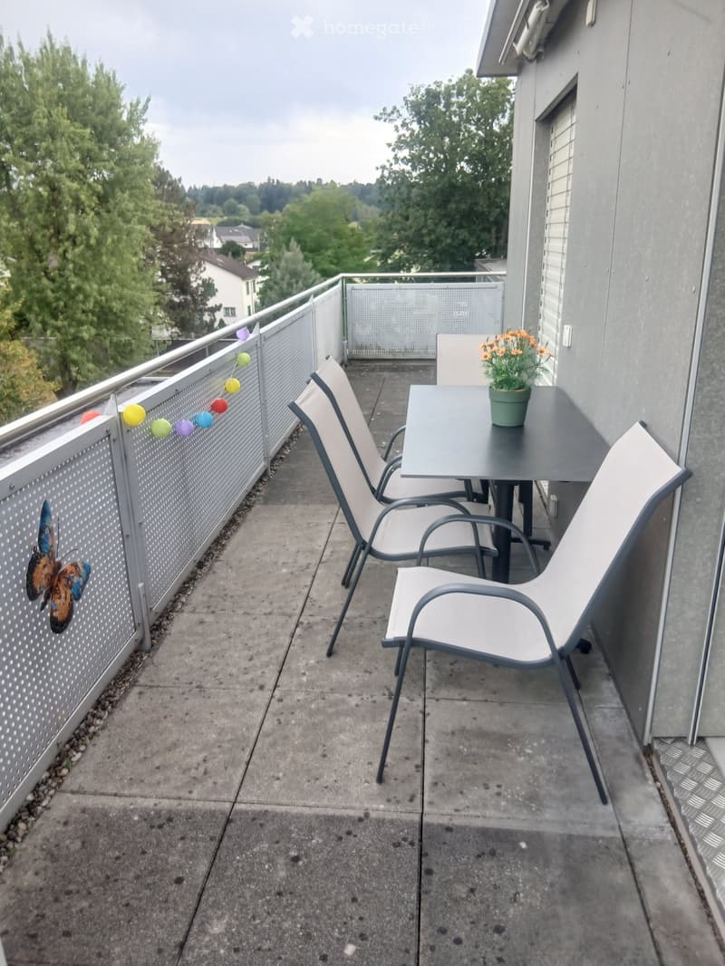 SONNIGE 2,5 ZIMMER TERASSEN ATTIKA WOHNUNG (1)
