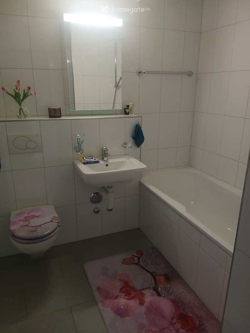 SONNIGE 2,5 ZIMMER TERASSEN ATTIKA WOHNUNG (3)