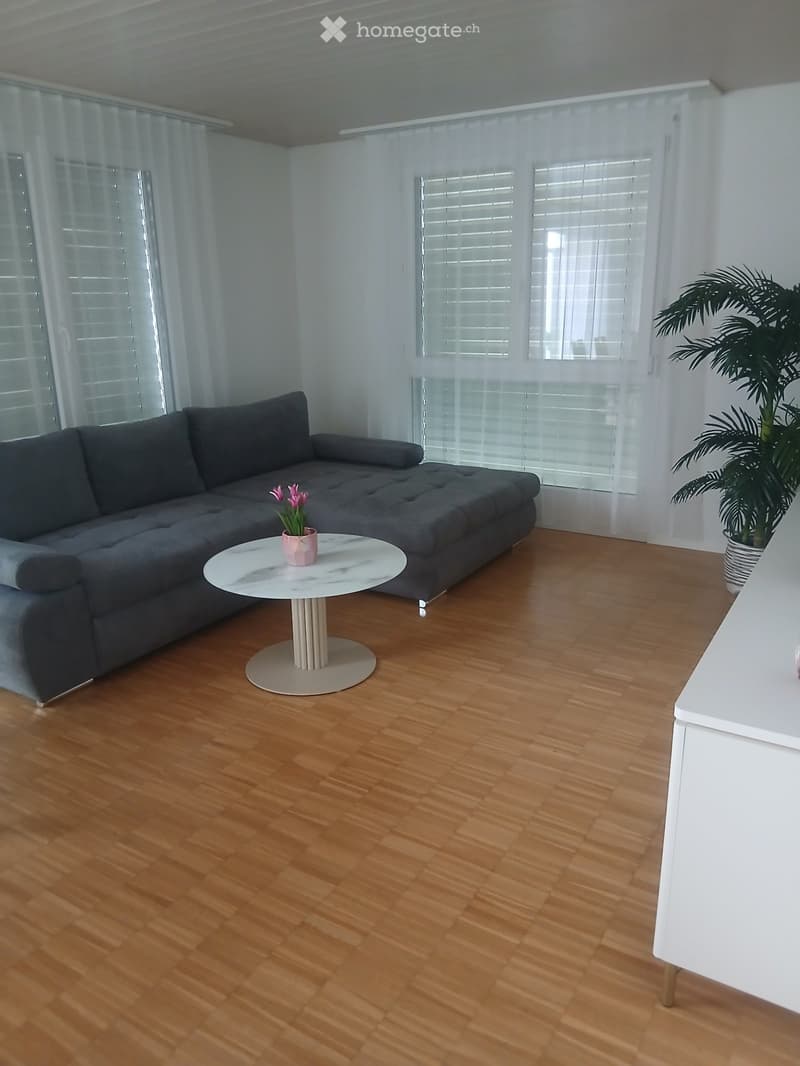 SONNIGE 2,5 ZIMMER TERASSEN ATTIKA WOHNUNG (2)