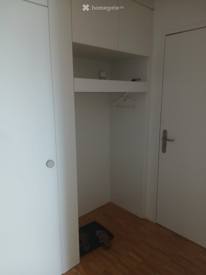 SONNIGE 2,5 ZIMMER TERASSEN ATTIKA WOHNUNG (4)