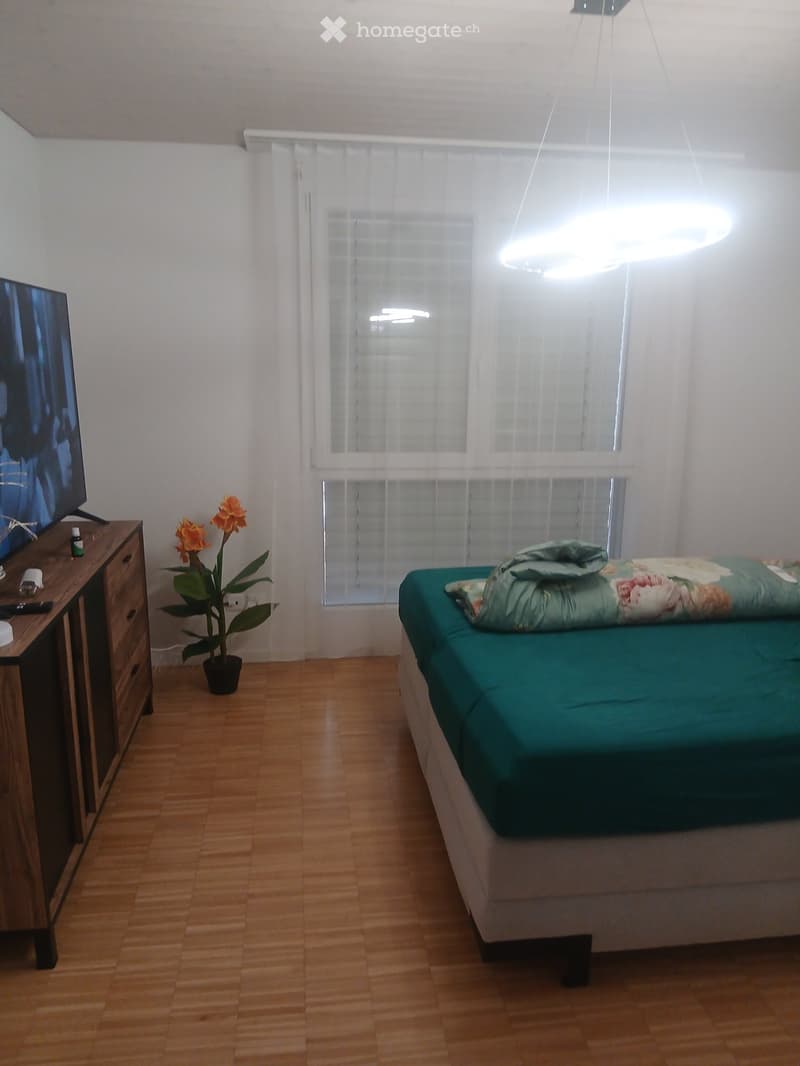 SONNIGE 2,5 ZIMMER TERASSEN ATTIKA WOHNUNG (5)