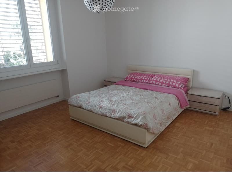 Subentro 4.5 Locarno (4)