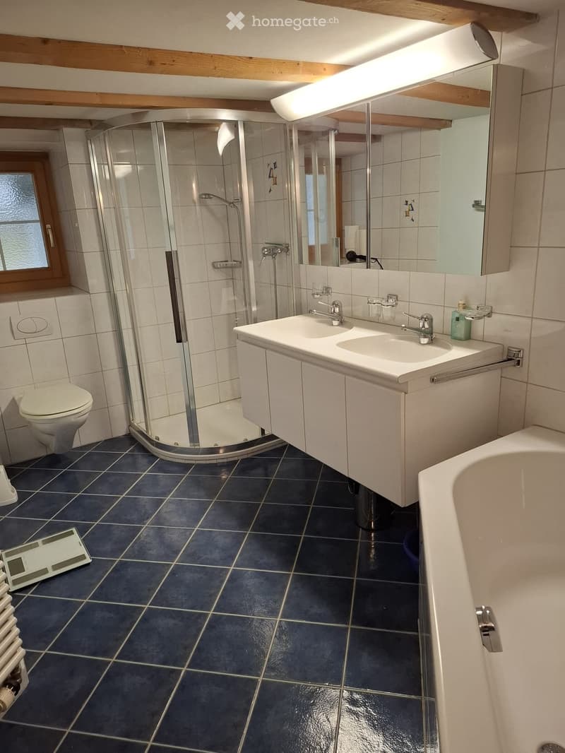Charmante 5.5-Zimmer-Wohnung (4)