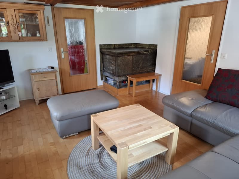 Charmante 5.5-Zimmer-Wohnung (3)