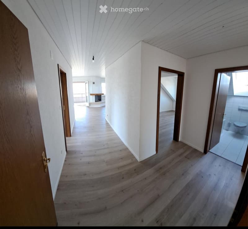 3,5 Zimmer Wohnung (3)