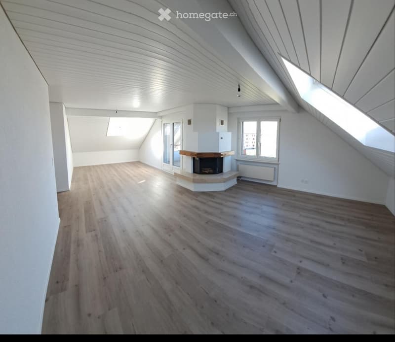 3,5 Zimmer Wohnung (1)