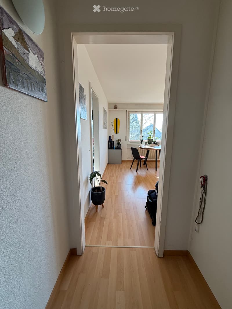 1.5 Zimmer Wohnung in Höngg / Frankental (3)