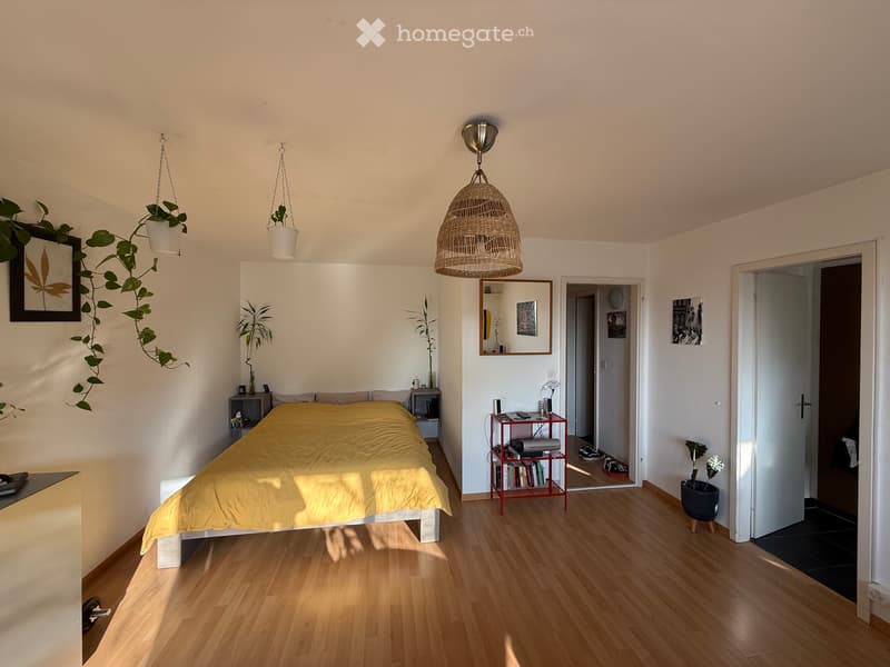 1.5 Zimmer Wohnung in Höngg / Frankental (1)