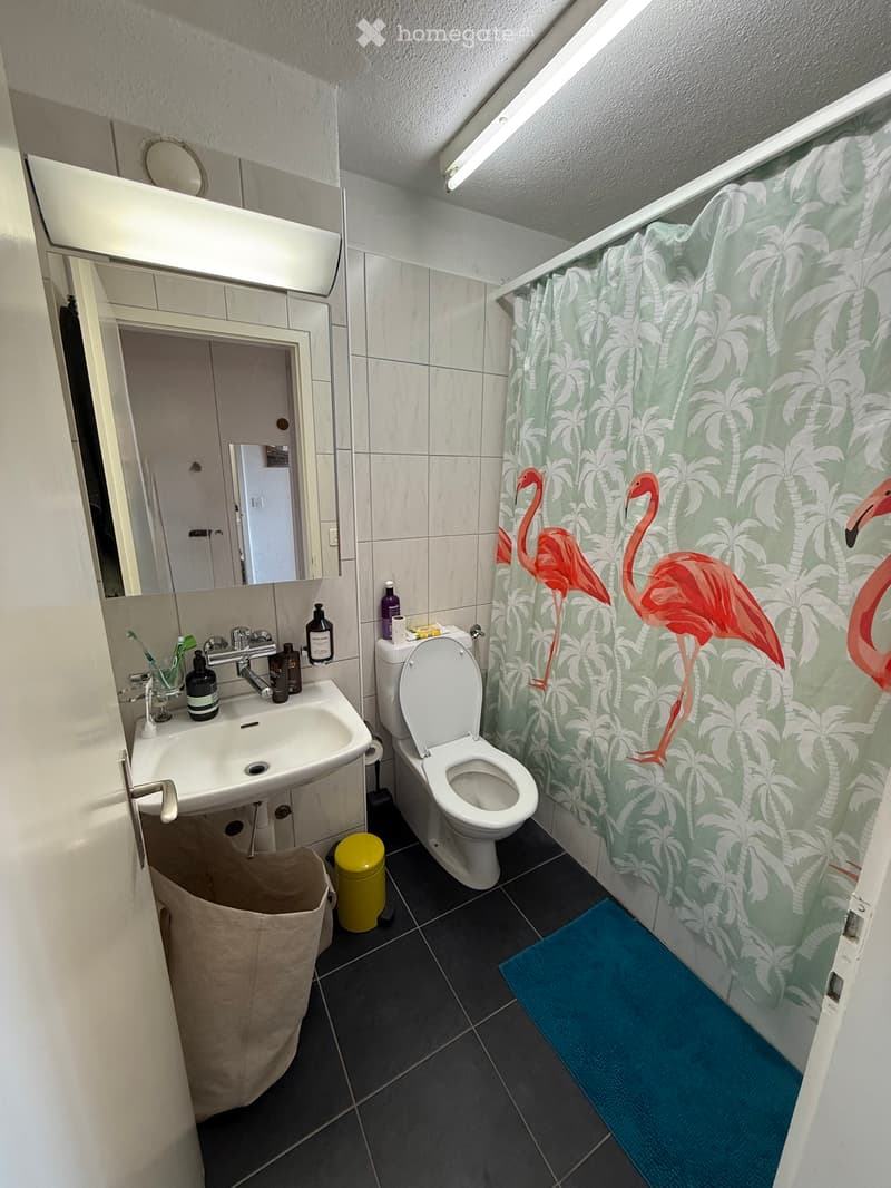 1.5 Zimmer Wohnung in Höngg / Frankental (5)