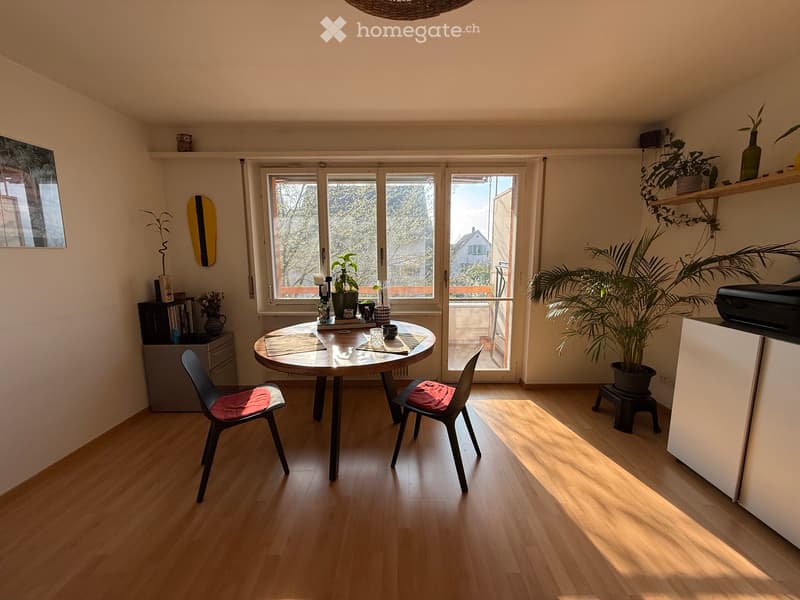 1.5 Zimmer Wohnung in Höngg / Frankental (2)