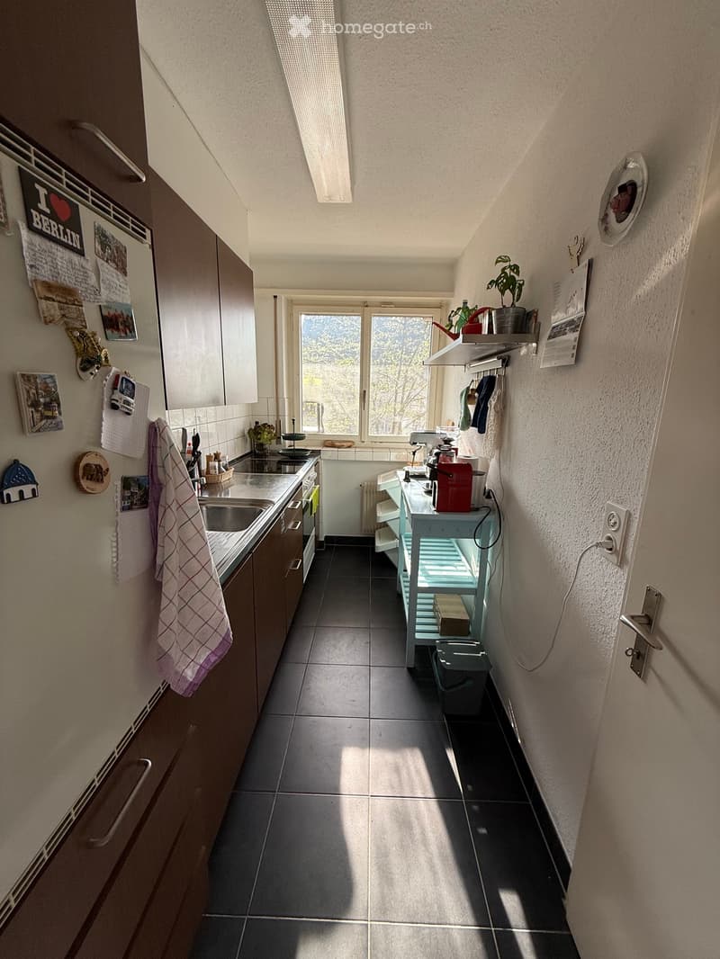 1.5 Zimmer Wohnung in Höngg / Frankental (4)