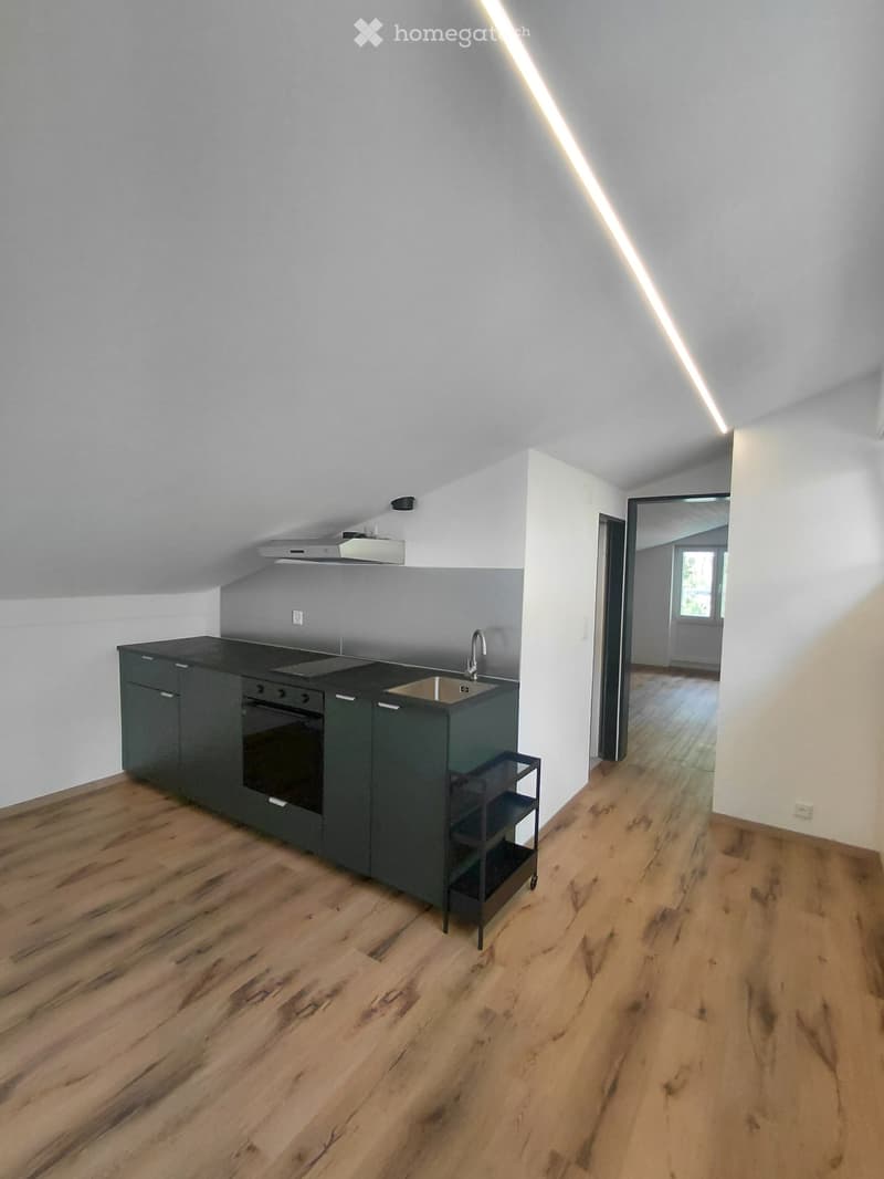 Sanierte 2-Zimmerwohnung in Brig zu vermieten (4)