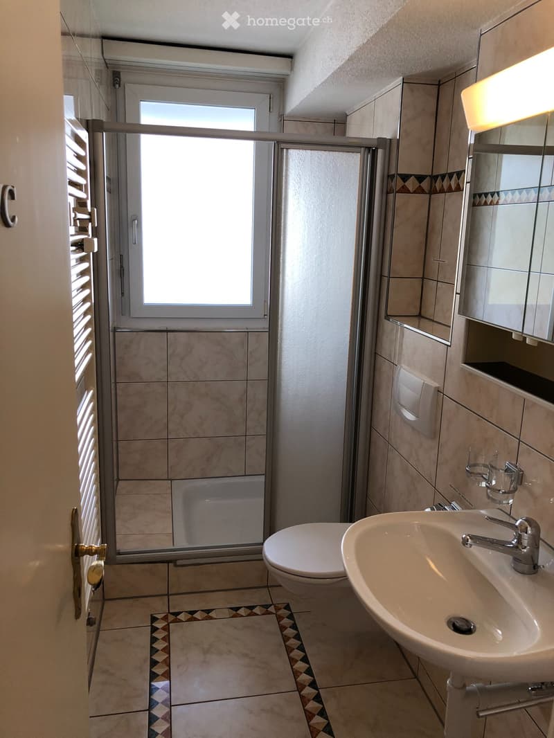 Wohnung im "Zentrum in Herrliberg" (4)