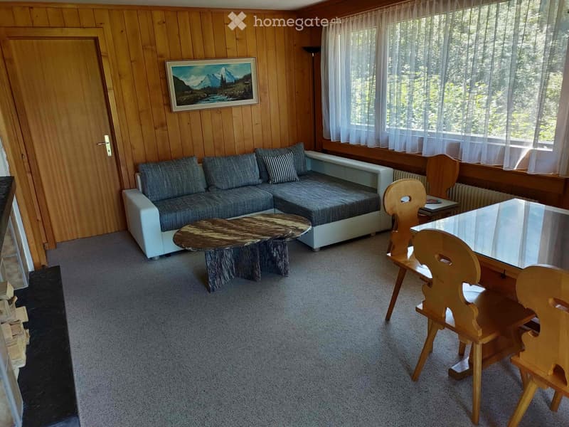 Ferienwohnung, möbliert, Ski In Ski Out ab First, inkl 1 PP (2)
