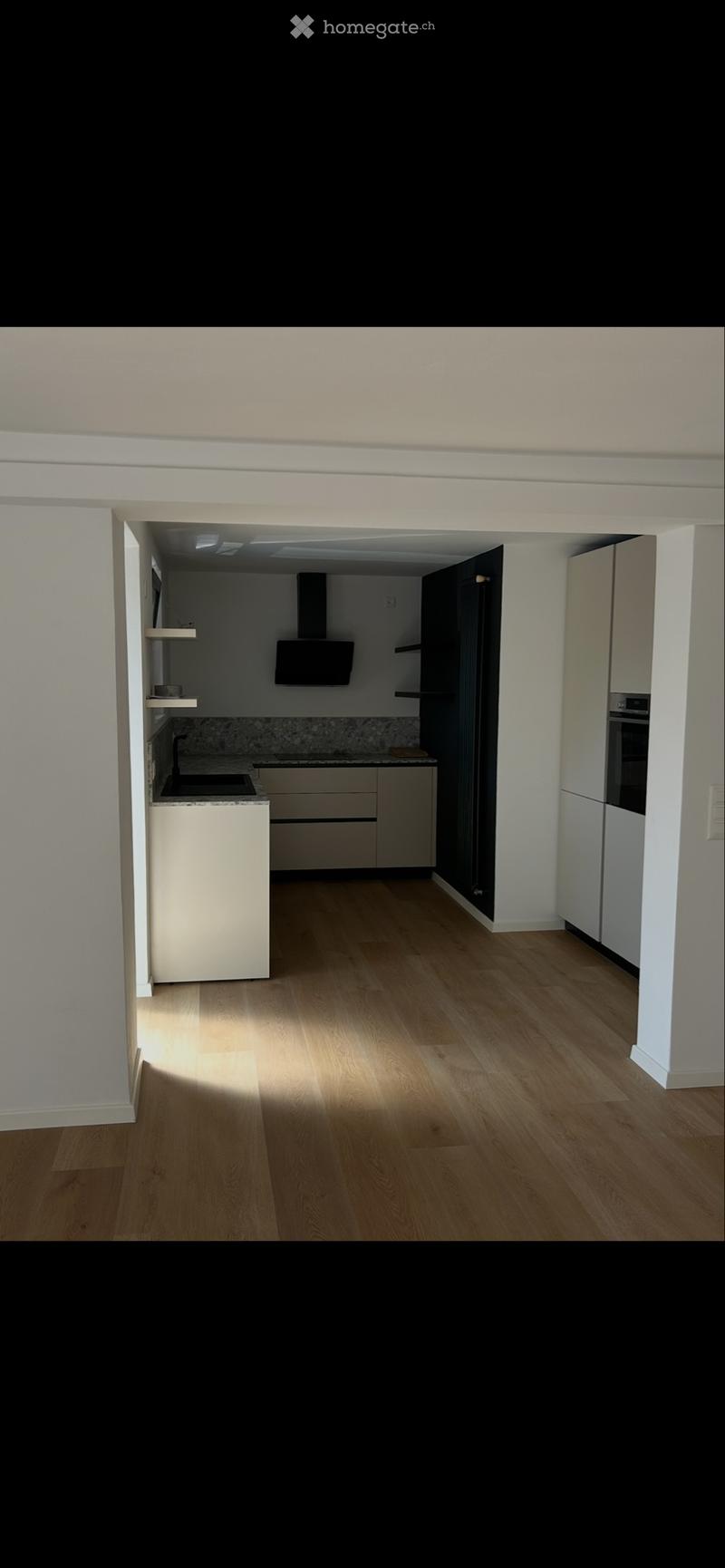 Appartamento 3.5 Mendrisio con giardino (3)