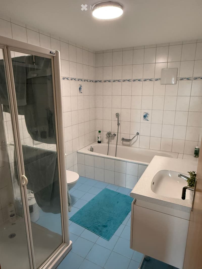 Blauen BL / helle 3.5-Zi.-Wohnung (110 m²) mit Südbalkon (5)