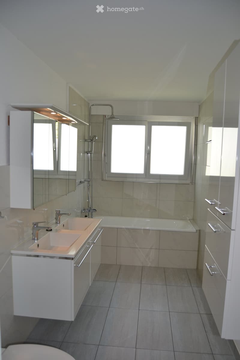Lichtdurchflutete 4.5 Zi.Whg per sofort zu vermieten (2)