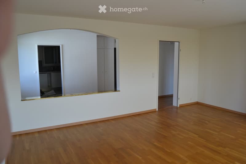 Lichtdurchflutete 4.5 Zi.Whg mit Panoramasicht und Terrasse (5)