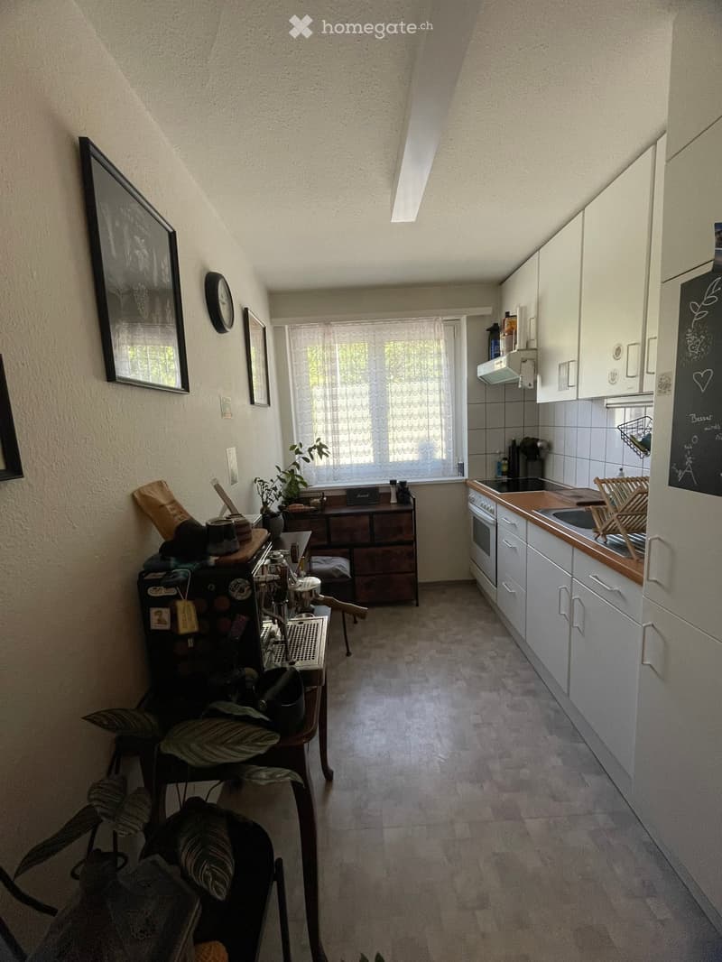 1 Zimmer Wohnung zur Untermiete in Baden (3)