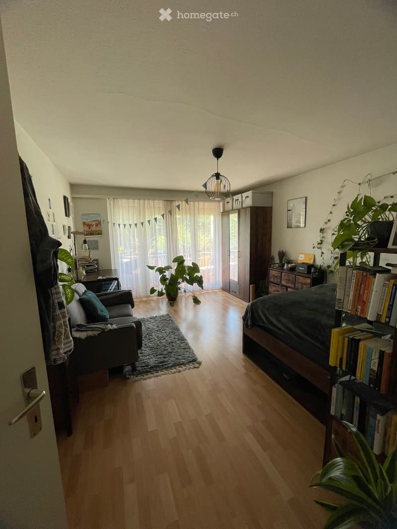 1 Zimmer Wohnung zur Untermiete in Baden (2)
