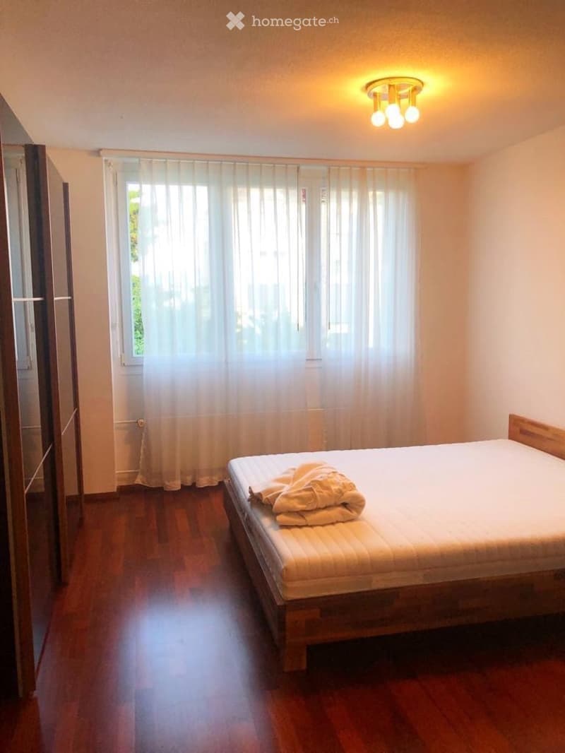 Beautiful Furnished Apartment on Zurich Lake (4)