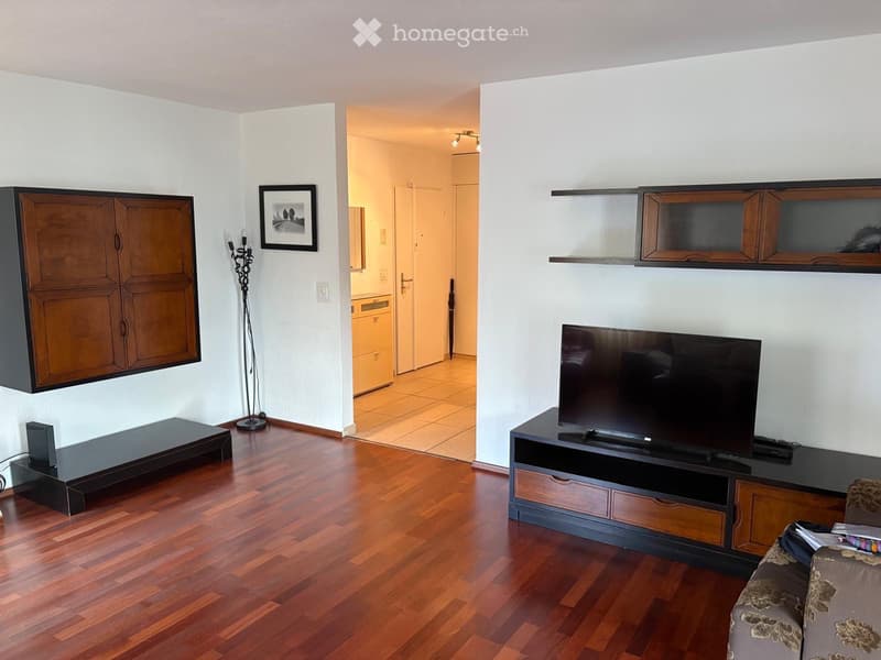 Beautiful Furnished Apartment on Zurich Lake (3)