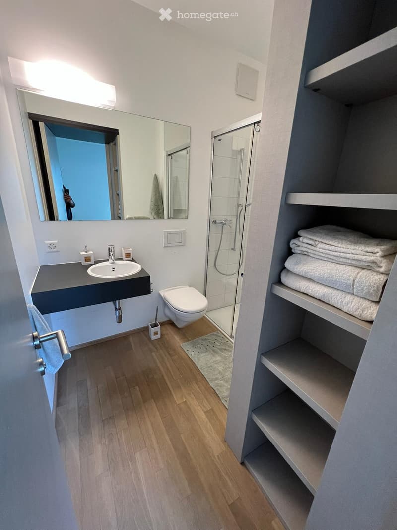 Ampio monolocale a Lugano (4)