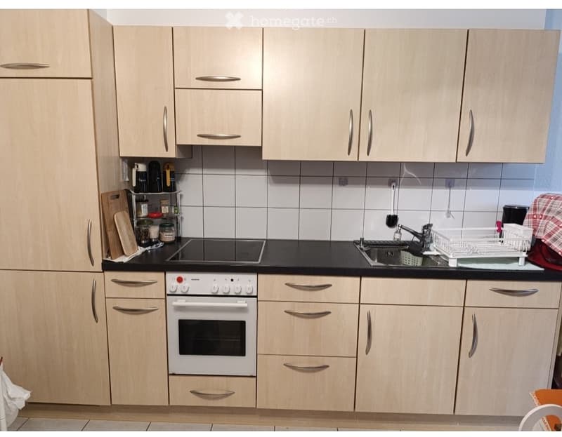 2 1/2 ZI Wohnung, 6222 Gunzwil ,1000 Fr inkl, (1)