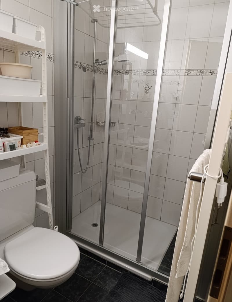 2 1/2 ZI Wohnung, 6222 Gunzwil ,1000 Fr inkl, (3)