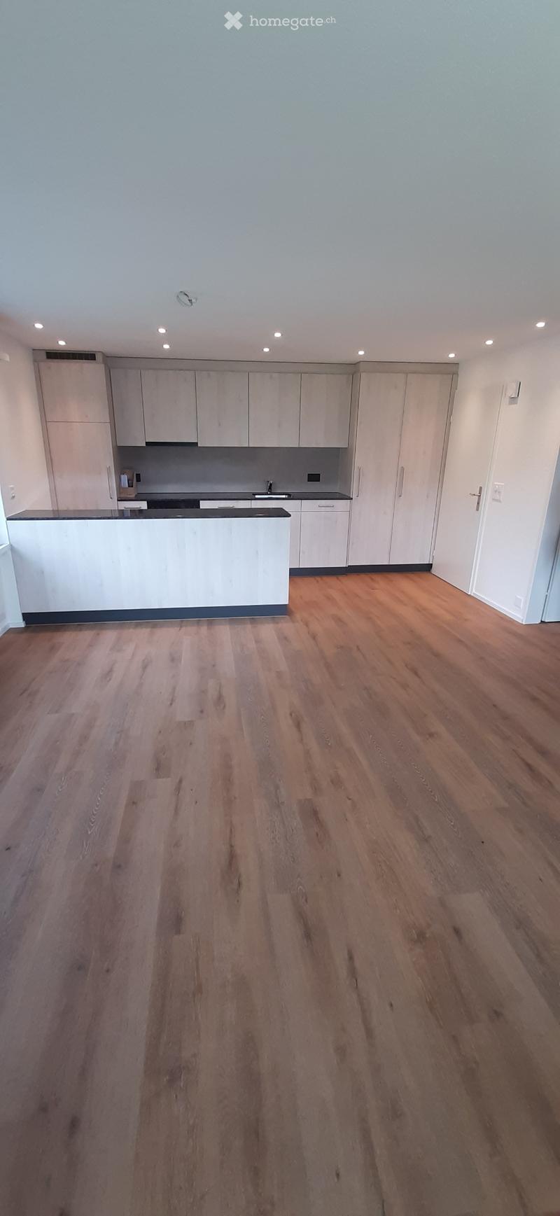 2 1/2 Zimmerwohnung zu vermieten (3)