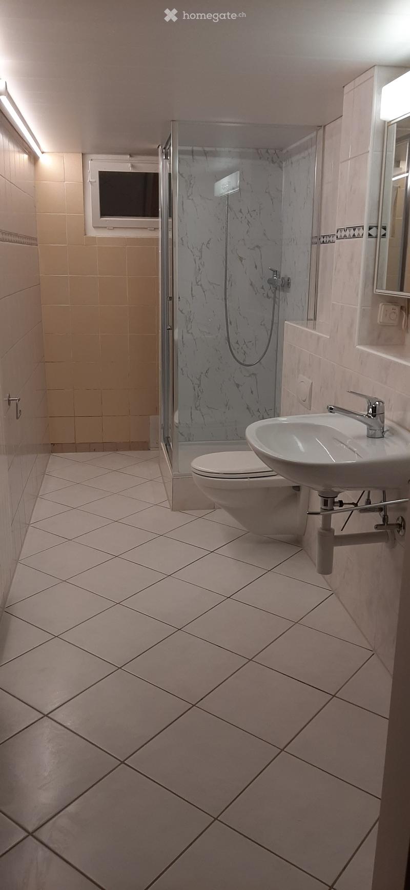 2 1/2 Zimmerwohnung zu vermieten (5)