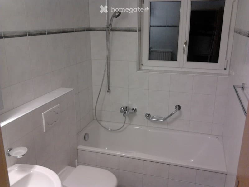 Einfache Wohnung zu vermieten (2)