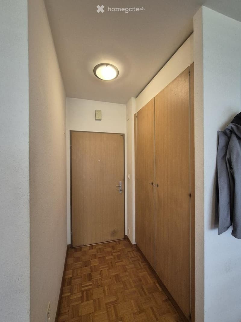 Charmant appartement de 2 pièces à Meyrin (2)