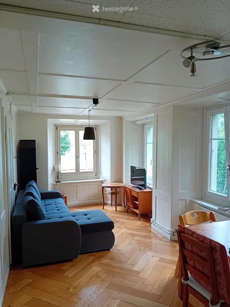 Altbauwohnung direkt am See (3)