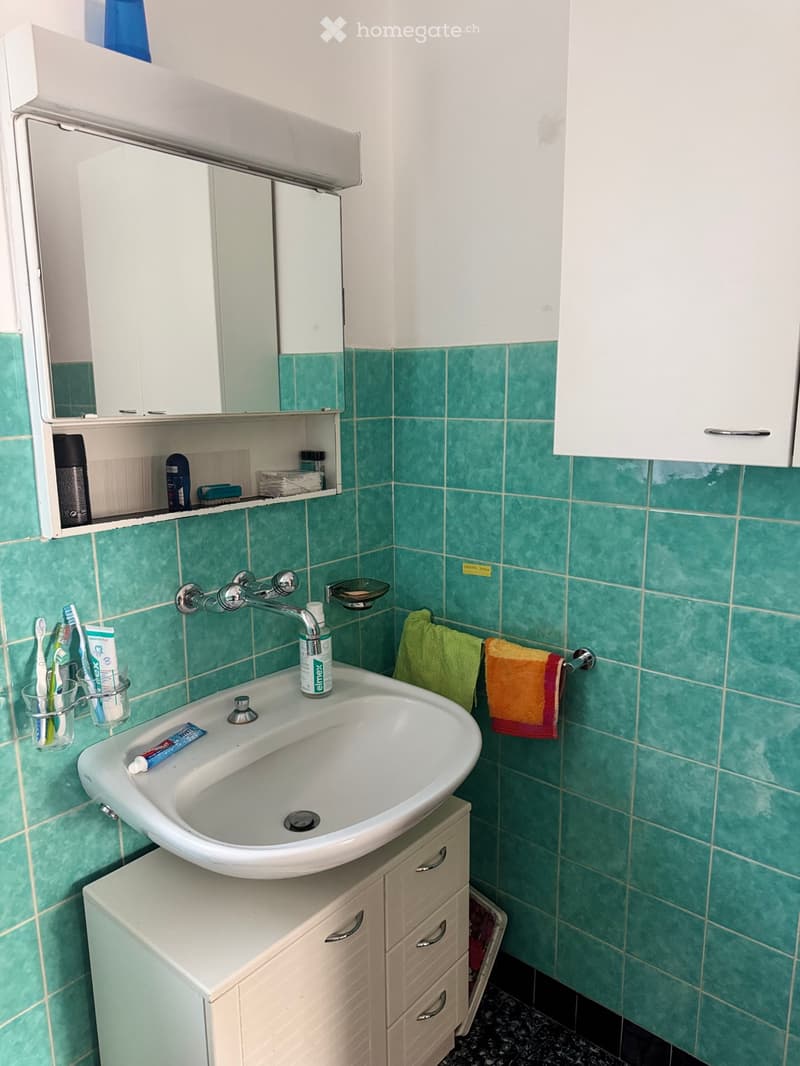 Casa indipendente con giardino, 2 box auto e grottino (3)
