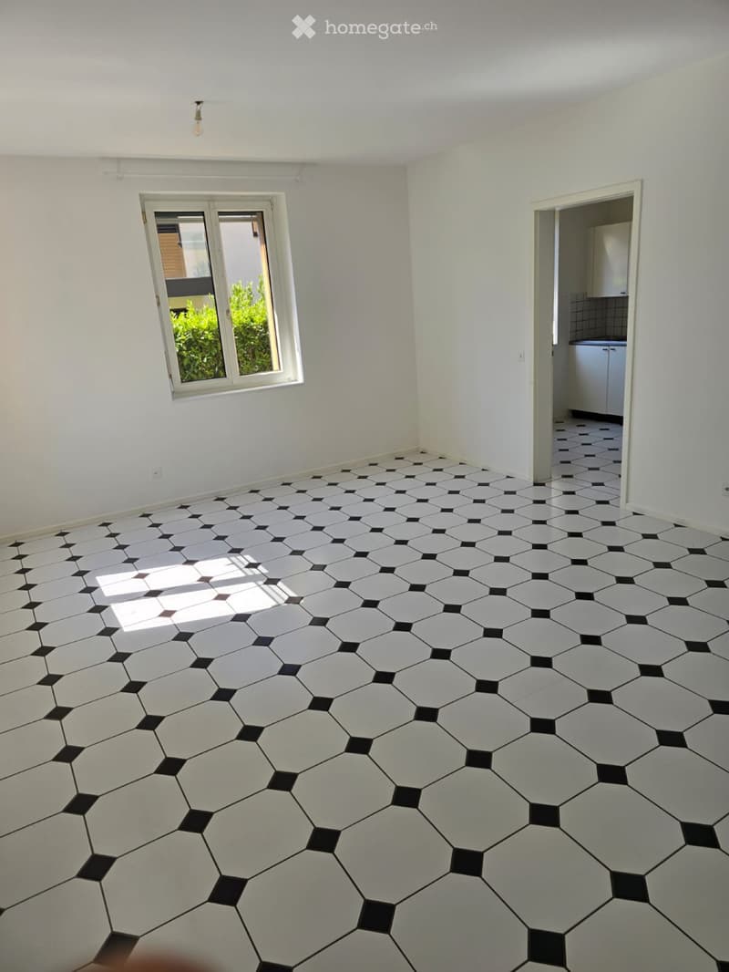 Affittasi appartamento con giardino (3)