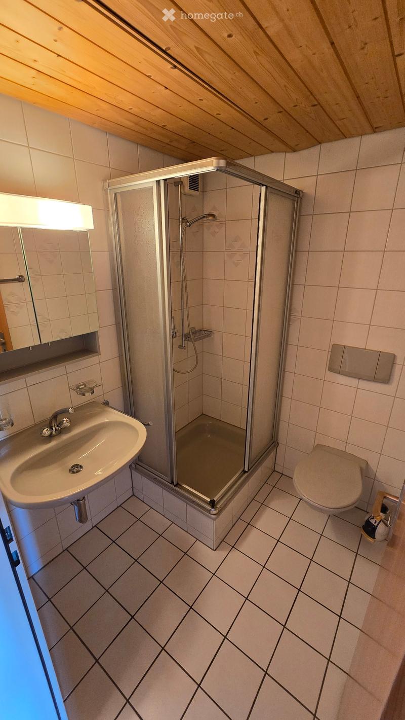 Charmante 1.5-Zimmer-Dachwohnung mit Galerie und Balkon (4)