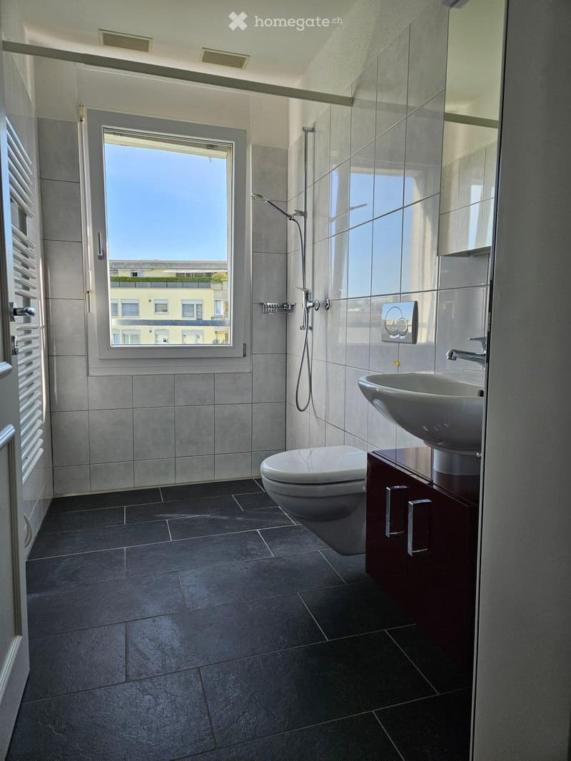 Charmante 2,5-Zimmer-Wohnung in Winterthur (3)